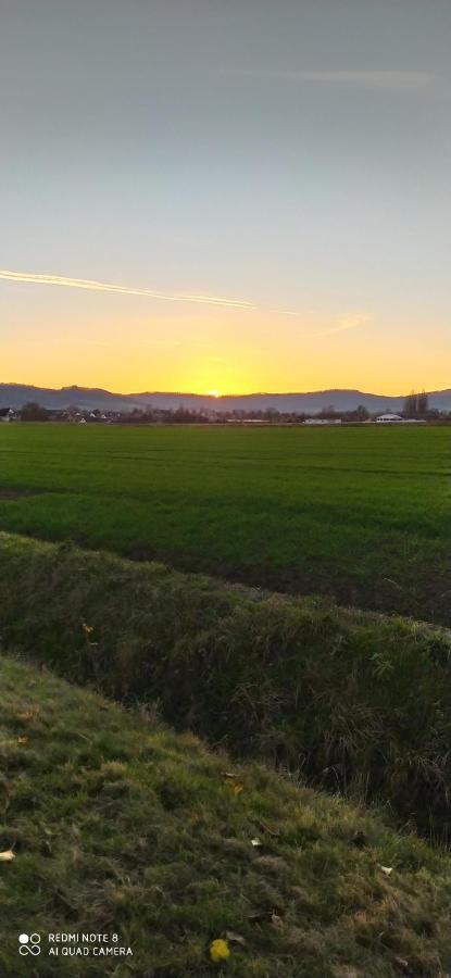 Ferienwohnung Colin Im Schoenen Weserbergland Naehe Freizeitpark Salzhemmendorf Bagian luar foto